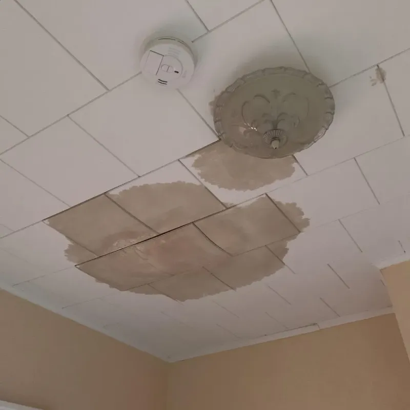 Ceiling Water Damage Repair in Southampton County, VA