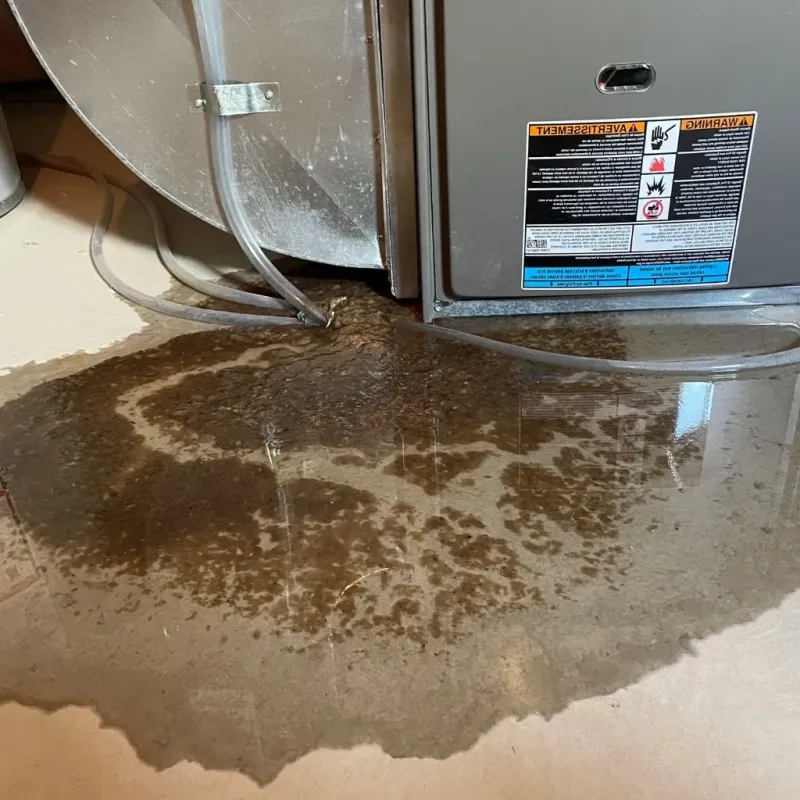 Pipe Burst and Leak Restoration in Southampton County, VA